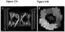 Fig. 23 - METHODS AND COMPOSITIONS COMPRISING A C-TERMINAL BAX PEPTIDE