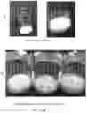 Fig. 11 - Chloride salt of TAT-NR2B9C