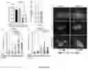 Fig. 05 - NET STABILIZATION AS A THERAPY FOR SEPSIS