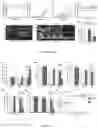Fig. 08 - NET STABILIZATION AS A THERAPY FOR SEPSIS