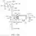 Fig. 21 - THERAPEUTIC AGENT PREPARATIONS FOR DELIVERY INTO A LUMEN OF THE INTESTINAL TRACT USING A SWALLOWABLE DRUG DELIVERY DEVICE
