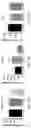 Fig. 20 - COMBINATIONS OF TANNASE AND PROBIOTIC FORMULATIONS AND METHODS OF USE FOR IMPROVING TANNIN METABOLISM