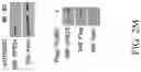 Fig. 16 - Method for preventing or treating metabolic disorder