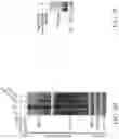 Fig. 26 - Method for preventing or treating metabolic disorder