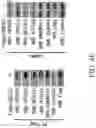 Fig. 38 - Method for preventing or treating metabolic disorder