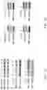 Fig. 45 - Method for preventing or treating metabolic disorder