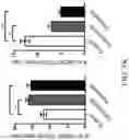 Fig. 50 - Method for preventing or treating metabolic disorder