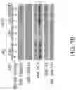 Fig. 63 - Method for preventing or treating metabolic disorder