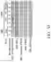 Fig. 68 - Method for preventing or treating metabolic disorder