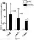 Fig. 05 - METHODS AND PHARMACEUTICAL COMPOSITIONS FOR INDUCING IMMUNE TOLERANCE BY MUCOSAL VACCINATION WITH FC-COUPLED ANTIGENS