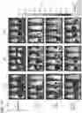Fig. 03 - CYTOTOXIC T LYMPHOCYTES SPECIFIC FOR MUTATED FORMS OF EPIDERMAL GROWTH FACTOR RECEPTOR FOR USE IN TREATING CANCER