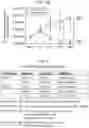 Fig. 06 - CYTOTOXIC T LYMPHOCYTES SPECIFIC FOR MUTATED FORMS OF EPIDERMAL GROWTH FACTOR RECEPTOR FOR USE IN TREATING CANCER