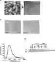 Fig. 01 - DELIVERY OF BACTERIA-DERIVED OUTER MEMBRANE VESICLES