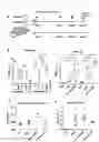 Fig. 05 - DELIVERY OF BACTERIA-DERIVED OUTER MEMBRANE VESICLES