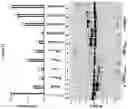 Fig. 14 - METHOD FOR THE PRODUCTION OF OUTER MEMBRANE VESICLES AND IMMUNOGENIC COMPOSITIONS THEREOF