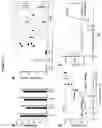 Fig. 15 - METHOD FOR THE PRODUCTION OF OUTER MEMBRANE VESICLES AND IMMUNOGENIC COMPOSITIONS THEREOF