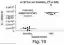 Fig. 20 - METHODS AND COMPOSITIONS RELATING TO SYNTHETIC BETA-1,6 GLUCOSAMINE OLIGOSACCHARIDES