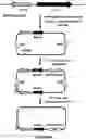 Fig. 01 - Monovalent vaccine formulation and a method for preparation thereof