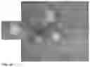 Fig. 17 - Compositions, methods and uses for thermally stable multi-targeted antigens