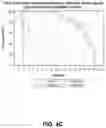 Fig. 09 - Methods for Inducing a Safe Immune Response Against Polio Virus