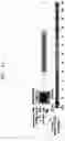 Fig. 02 - INFLUENZA VACCINE COMPOSITION BASED ON NOVEL NUCLEIC ACID