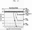 Fig. 04 - INFLUENZA VACCINE COMPOSITION BASED ON NOVEL NUCLEIC ACID