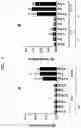 Fig. 07 - INFLUENZA VACCINE COMPOSITION BASED ON NOVEL NUCLEIC ACID