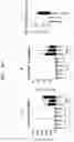 Fig. 09 - INFLUENZA VACCINE COMPOSITION BASED ON NOVEL NUCLEIC ACID