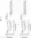 Fig. 10 - INFLUENZA VACCINE COMPOSITION BASED ON NOVEL NUCLEIC ACID