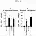 Fig. 14 - INFLUENZA VACCINE COMPOSITION BASED ON NOVEL NUCLEIC ACID