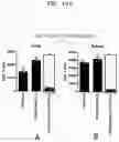 Fig. 15 - INFLUENZA VACCINE COMPOSITION BASED ON NOVEL NUCLEIC ACID