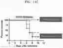 Fig. 19 - INFLUENZA VACCINE COMPOSITION BASED ON NOVEL NUCLEIC ACID