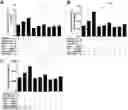 Fig. 01 - Immunopotentiator, immunotherapeutic pharmaceutical composition and its preparation and use