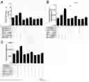 Fig. 02 - Immunopotentiator, immunotherapeutic pharmaceutical composition and its preparation and use