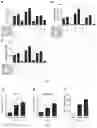 Fig. 03 - Immunopotentiator, immunotherapeutic pharmaceutical composition and its preparation and use