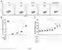Fig. 10 - Immunopotentiator, immunotherapeutic pharmaceutical composition and its preparation and use