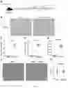 Fig. 14 - Immunopotentiator, immunotherapeutic pharmaceutical composition and its preparation and use