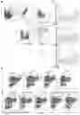 Fig. 19 - Immunopotentiator, immunotherapeutic pharmaceutical composition and its preparation and use