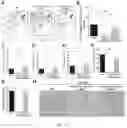 Fig. 23 - Immunopotentiator, immunotherapeutic pharmaceutical composition and its preparation and use