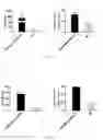 Fig. 25 - Immunopotentiator, immunotherapeutic pharmaceutical composition and its preparation and use