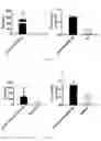 Fig. 26 - Immunopotentiator, immunotherapeutic pharmaceutical composition and its preparation and use