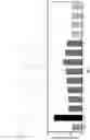 Fig. 04 - COMPOSITIONS AND METHODS FOR MODULATION OF ANTIBODY ACTIVITY