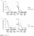 Fig. 04 - RECOMBINANT PROTEINS WITH CD40 ACTIVATING PROPERTIES