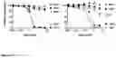 Fig. 05 - RECOMBINANT PROTEINS WITH CD40 ACTIVATING PROPERTIES