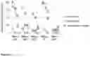 Fig. 06 - RECOMBINANT PROTEINS WITH CD40 ACTIVATING PROPERTIES