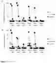 Fig. 10 - RECOMBINANT PROTEINS WITH CD40 ACTIVATING PROPERTIES