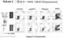 Fig. 17 - RECOMBINANT PROTEINS WITH CD40 ACTIVATING PROPERTIES