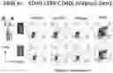 Fig. 19 - RECOMBINANT PROTEINS WITH CD40 ACTIVATING PROPERTIES