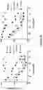 Fig. 25 - RECOMBINANT PROTEINS WITH CD40 ACTIVATING PROPERTIES