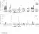 Fig. 30 - RECOMBINANT PROTEINS WITH CD40 ACTIVATING PROPERTIES